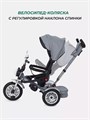Велосипед трехколесный Mowbaby Eagle Grey 4670078646538