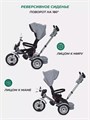 Велосипед трехколесный Mowbaby Eagle Grey 4670078646538