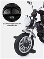 Велосипед трехколесный Mowbaby Eagle Grey 4670078646538