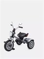 Велосипед трехколесный Mowbaby Eagle Grey 4670078646538