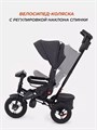 Велосипед трехколесный Rant Balance Graphite 4670078646651