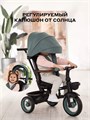 Велосипед 3-колесный Mowbaby Rodeo Mint 4670078656438