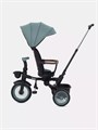Велосипед 3-колесный Mowbaby Rodeo Mint 4670078656438