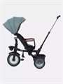 Велосипед 3-колесный Mowbaby Rodeo Mint 4670078656438