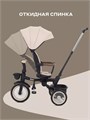 Велосипед 3-колесный Mowbaby Rodeo Beige 4670078656414