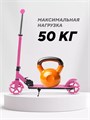 Самокат 2-колесный Rant Colibri Pink 4670078656698