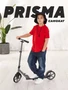 Самокат 2-колесный Mowbaby Prisma Grey 4670078656735