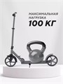 Самокат 2-колесный Mowbaby Prisma Grey 4670078656735