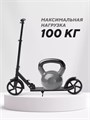Самокат 2-колесный Mowbaby Prisma Black 4670078656742