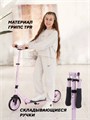 Самокат 2-колесный Mowbaby Prisma Lily 4670078656759