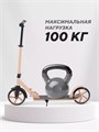 Самокат 2-колесный Mowbaby Prisma Cream 4670078656766