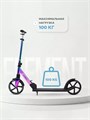 Самокат 2-колесный Rant Element PRO Benzin, Самокат двухколесный Rant Element Pro 4640575301148