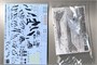65651  авиация  Macross Plus YF-19  (1:48) 4,96783E+12