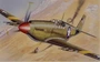 0090  авиация  P-51B MUSTANG (1:72) 8001283800907