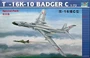 01613  авиация  КБ Т-16K-10 BADGER C  (1:72) 9580208016139