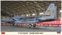 02207  авиация  F-15J Eagle "304th Sq., Naha 2016"  (1:72) 4967834022072
