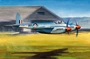 02893  авиация  De Havilland Hornet F.1  (1:48) 9580208028934