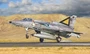 1408  авиация  IAI Kfir C.2  (1:72) 8001283014083