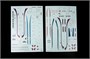 2148  авиация  L-410UVP Turbolet Limited edition  (1:72) 859143759266