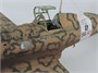 2518  авиация  Macchi MC.202 Folgore  (1:32) 8001283025188