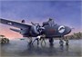 2724  авиация  Douglas P-70A (1:48) 8001283027243