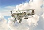 2819  авиация  Henschel Hs-123  (1:48) 8001283028196