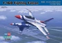 80275  авиация  F-16D Fighting Falcon  (1:72) 6939319202758