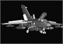 80353  авиация  Tornado IDS  (1:48) 6939319203533