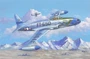 81725  авиация  Lockheed F-80C Shooting Star  (1:48) 6939319217257