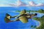 81730  авиация  P-61A Black Widow  (1:48) 6939319217301