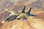 81771  авиация  Persian Cat F-14A Tomcat - IRIAF  (1:48) 6939319217714
