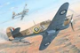 81779  авиация  “HURRICANE” Mk.II C/TROP  (1:48) 6939319217790