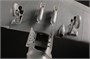 81783  авиация  TBD-1 Devastator  (1:48) 6939319217837
