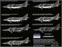 K48060  авиация  Harrier GR.1/GR.3  (1:48) 9588838161403