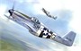 KPM0248  авиация  F-6C „Photo-recce Mustang“ Malcolm  (1:72) 8592942102482