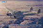 L4801  авиация  FW189 A-1 "NACHT JAGER"  (1:48) 6947917010019