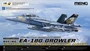 LS-019  авиация  Boeing EA-18G Growler Electronic Attack Aircraft Yellow Jackets  (1:48) 4897038554195