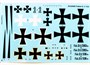 SH32065  авиация  WW I Fokker D.II "Black & White Tail"  (1:32) 8594071086206