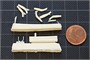 SH48059  авиация  Phonix D.I K. u K. Kriegsmarine  (1:48) 8594071081171