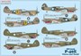 SH72338  авиация  P-40E Warhawk  'Claws and Teeth'  (1:72) 8594071086459