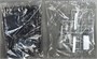 06823  автомобили и мотоциклы  Toyota UCF30 Celsior '00  (1:24) 4905083068236