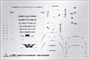 3952  автомобили и мотоциклы  Scania R730 Streamline  (1:24) 8001283039529