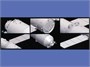 L4805  космос  TianGong-1 China's Space Lab Module  (1:48) 6947917010057