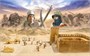 6183  наборы для диорам  BEAU GESTE: Algerian Tuareg Revolt - BATTLE SET  (1:72) 8001283061834