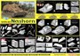 6459  техника и вооружение  САУ Sd.Kfz.164 Nashorn (4 in 1)  (1:35) 89195864598