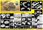 6740  техника и вооружение  M4 Sherman "Composite Hull" PTO с траками  (1:35) 89195867407