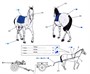 6079  фигуры  Horse Drawn 2.8cm SPzB41 AT Gun & JF8 Limber w/Crew  (1:35) 4005299008207