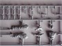 6154  фигуры  Winter Combat Eastern Front 1942/43  (1:35) 89195861542