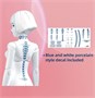 CN001  фигуры  Ci-Doll 6972444300371
