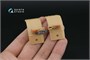 QD35131  декали  3D Декаль интерьера кабины БМ-30 Смерч (Meng)  (1:35) 2000002195566
